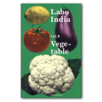Labo India vol.9　表紙